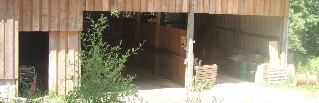 cropped-abri-cheval-ranch-tashunka.jpg